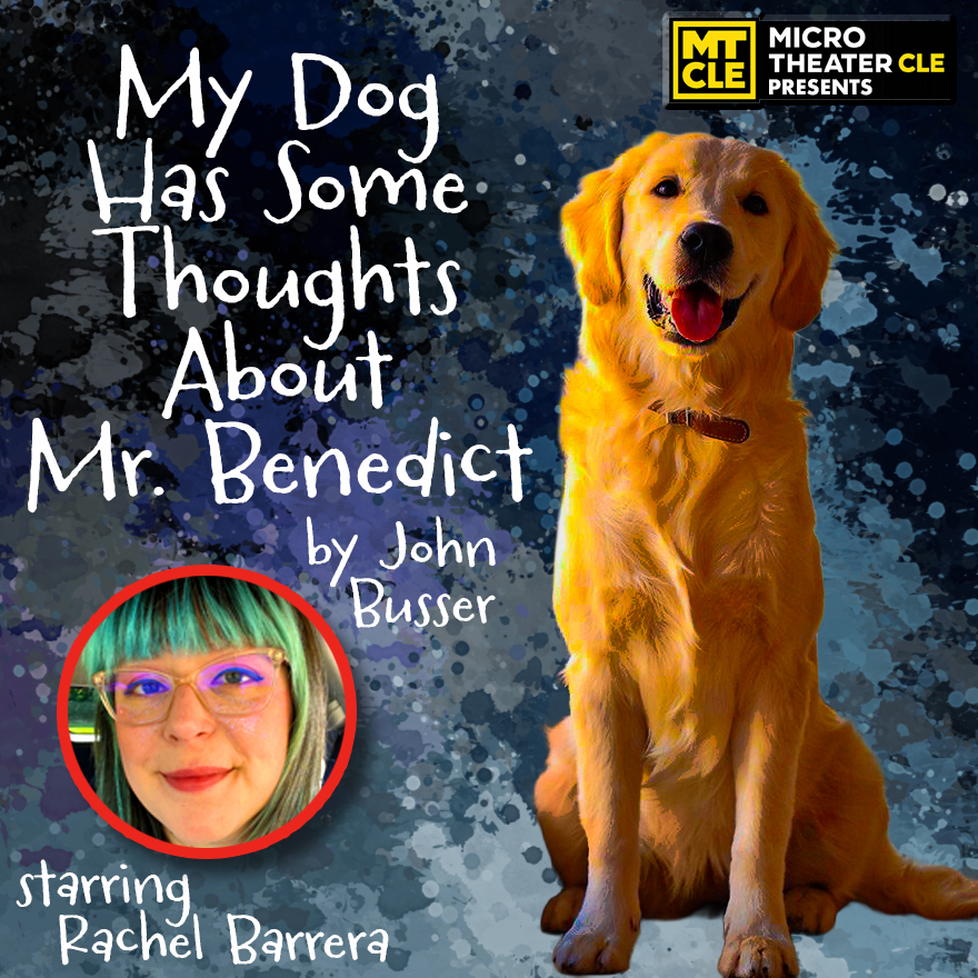 My Dog Has Some Thoughts About Mr. Benedict performance