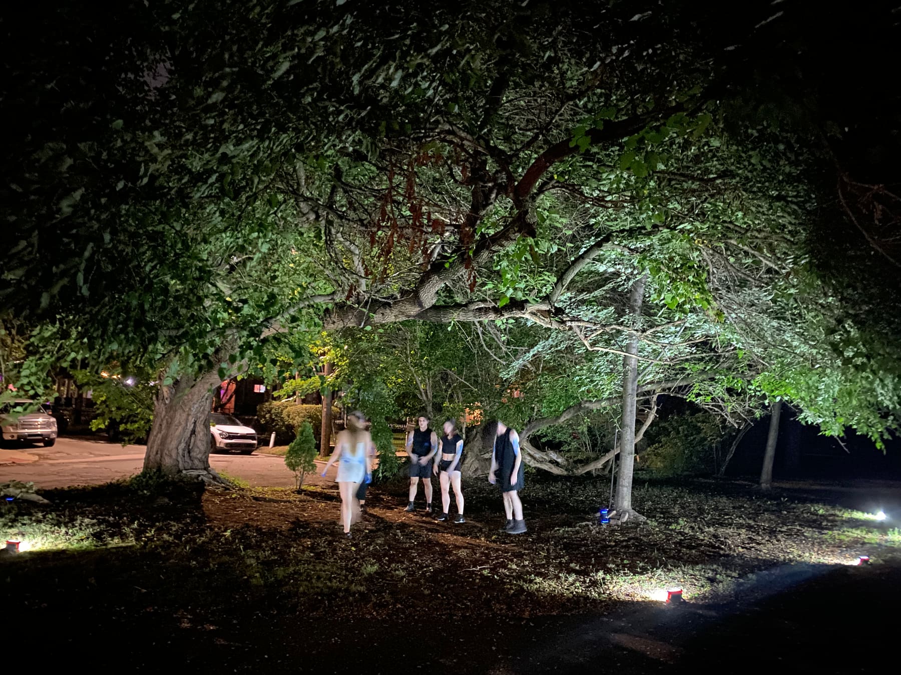 Dancers move beneath a huge, uplit tree in a dark yard, blurred in motion